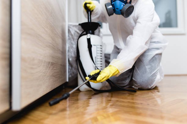 Best Flea Control Services  in Hershey, PA